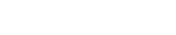 Bass Musician